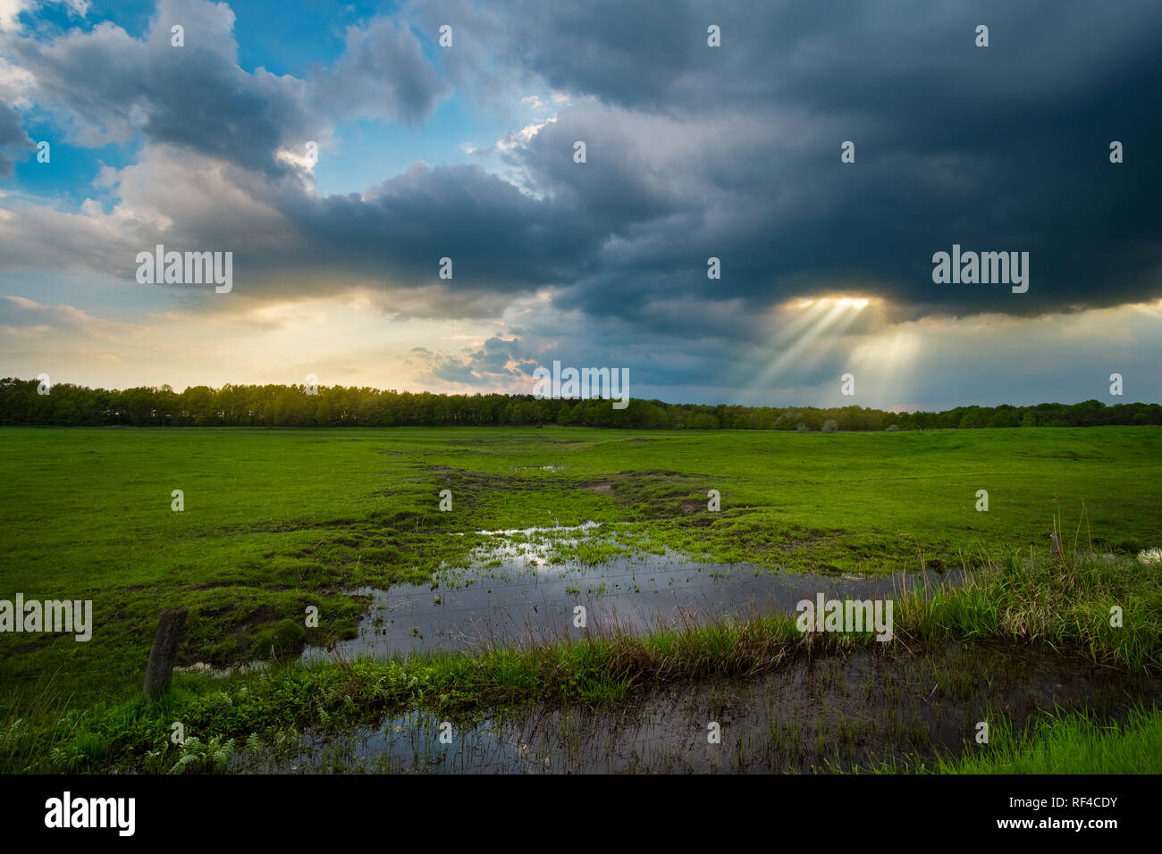 Sunrays over the stormy field Stock Photo