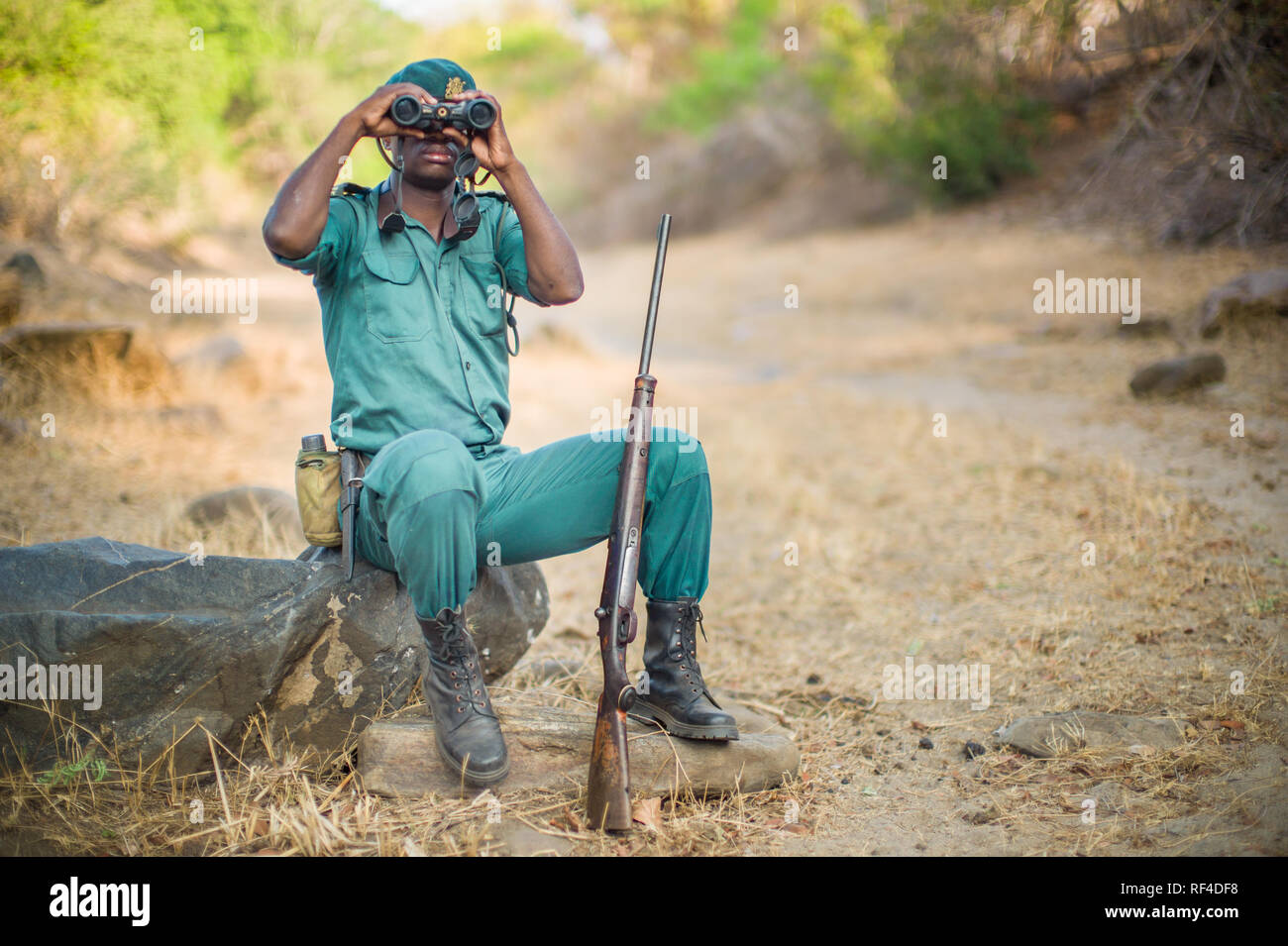 Game ranger duty hi-res stock photography and images - Alamy