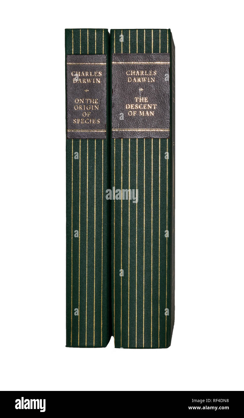 Folio Society editions of Charles Darwin's 'On the Origin of Species' and 'The Descent of Man', spines showing isolated on pure white background. Stock Photo