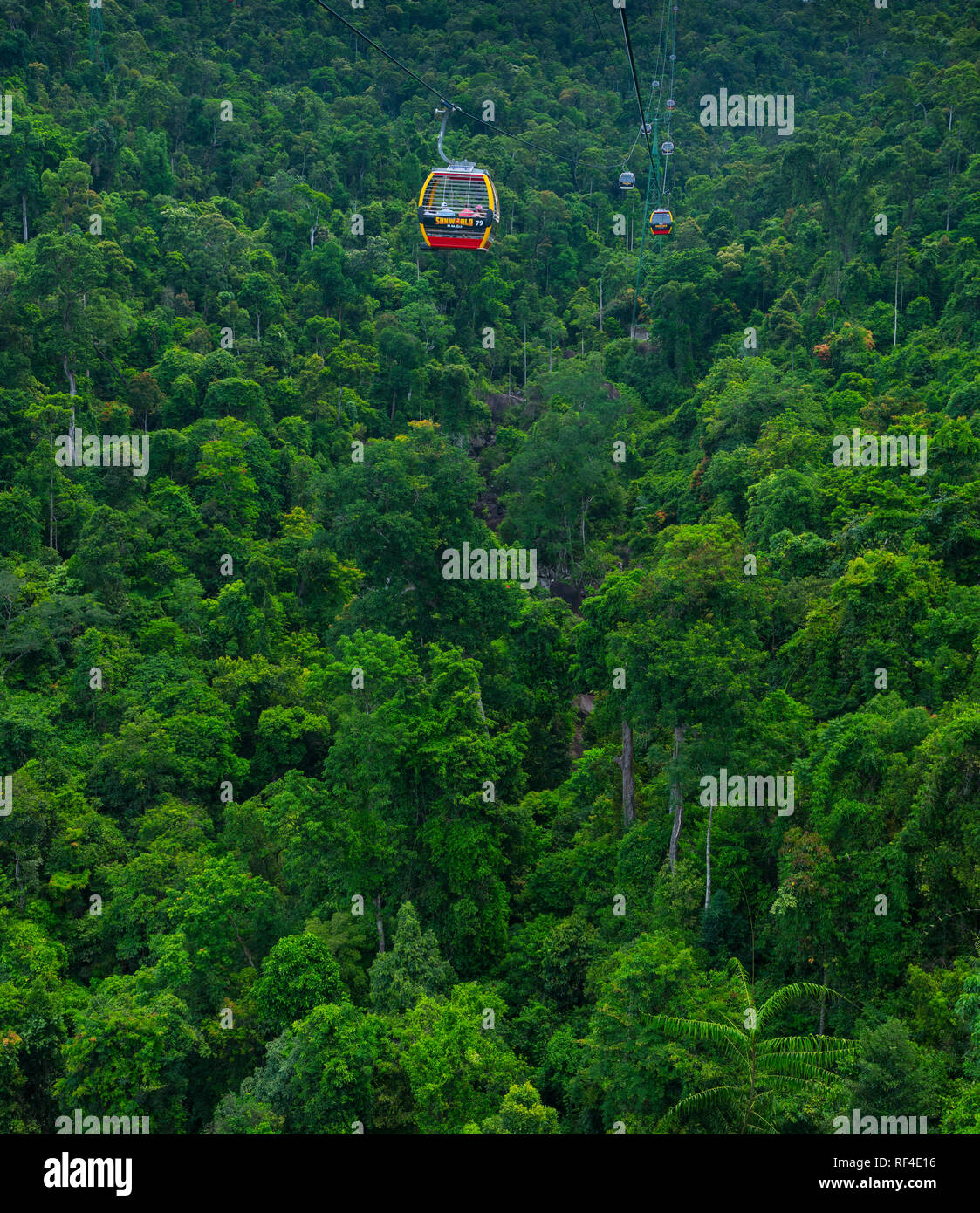 Cable Car, Jungle in Sun World Ba Na Hills, Danang, Vietnam, Asia Stock Photo