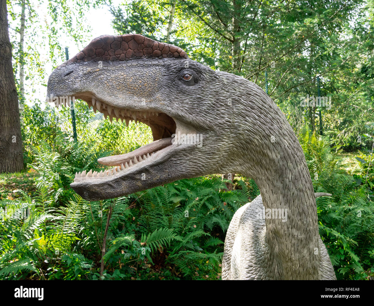 A model of predator dinosaur with green ferns and trees behind. Stock Photo