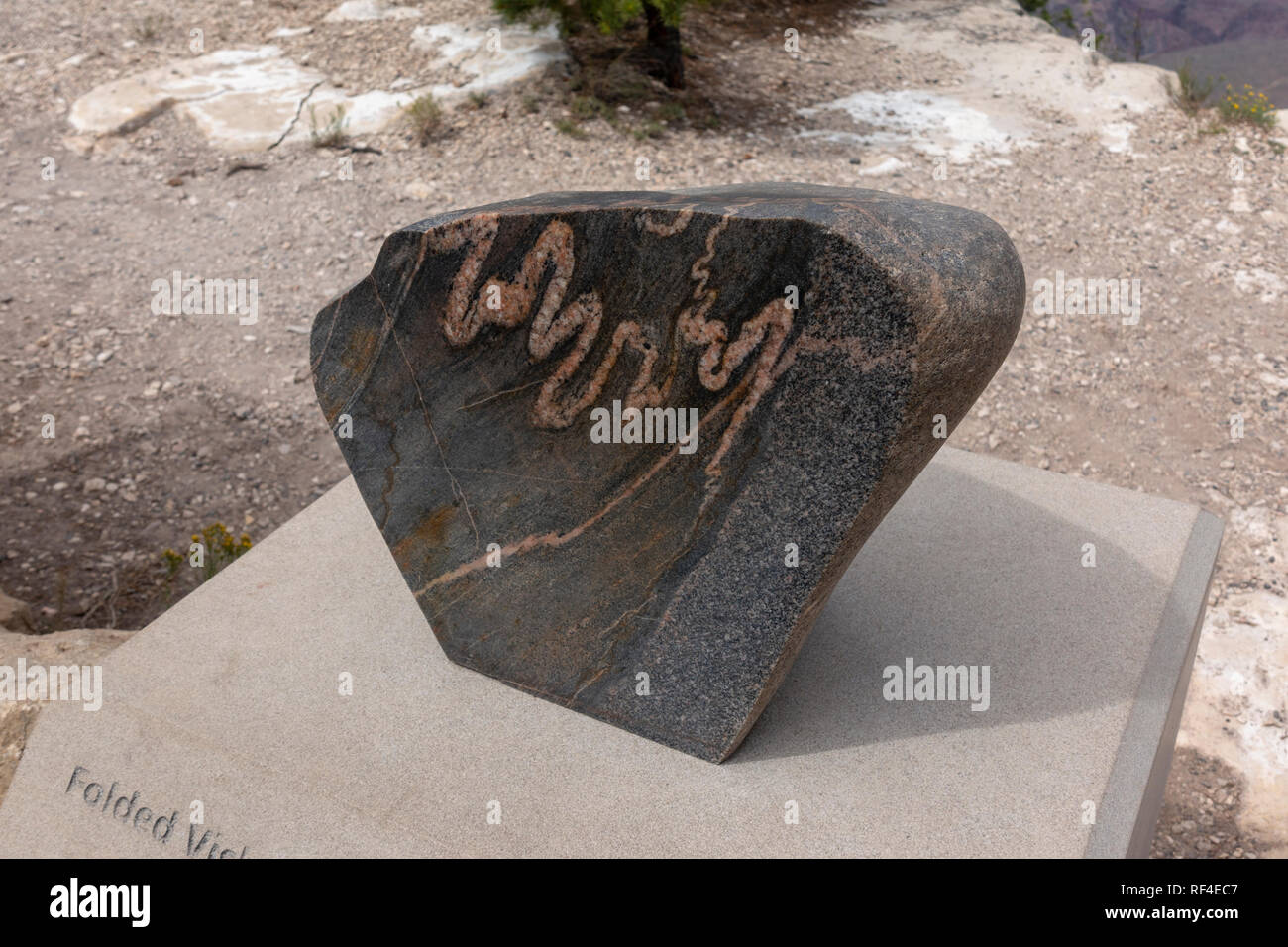 A section of folded vishnu basement rock on the Trail of Time, Grand Canyon South Rim, Arizona, USA. Stock Photo