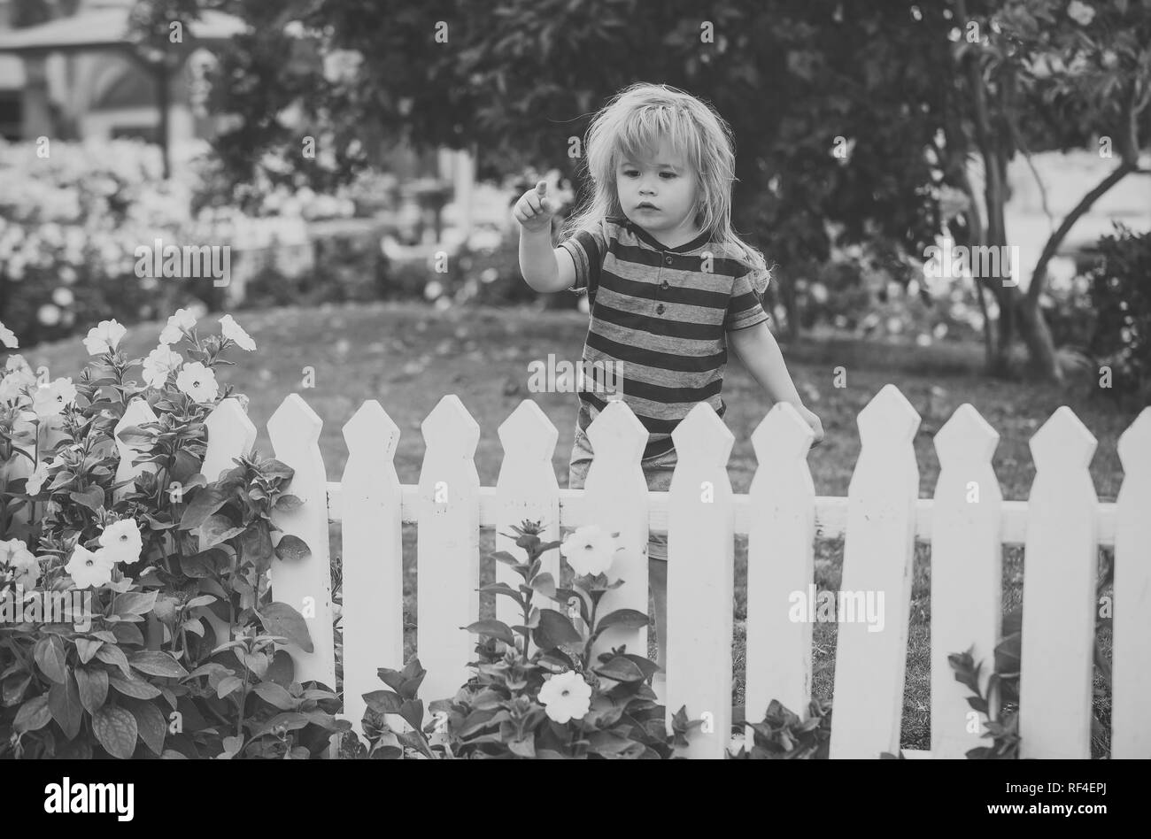 little boy at wooden fence on grass with mobile phone Stock Photo
