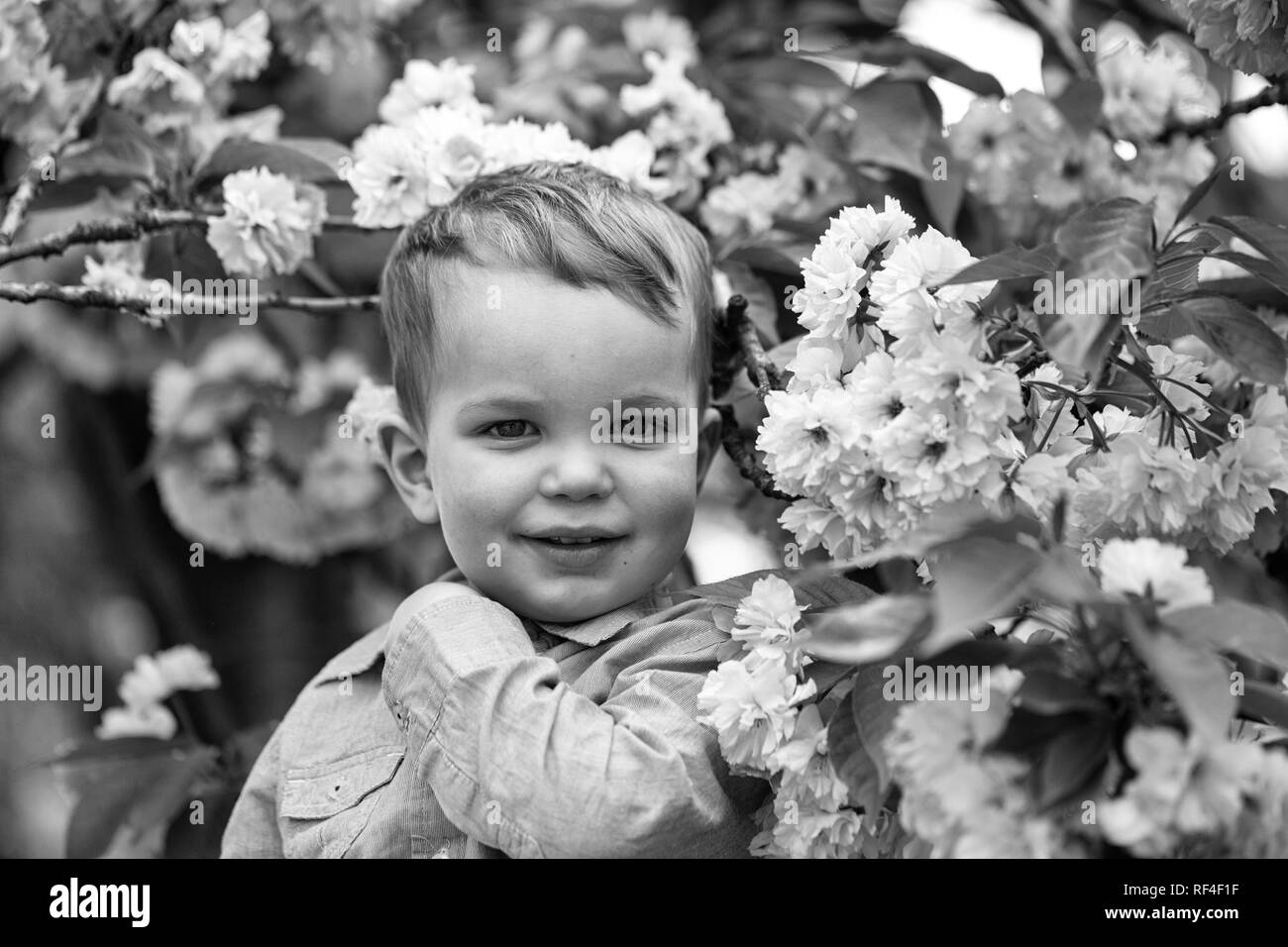Cute baby boy among pink blossoming flowers Stock Photo