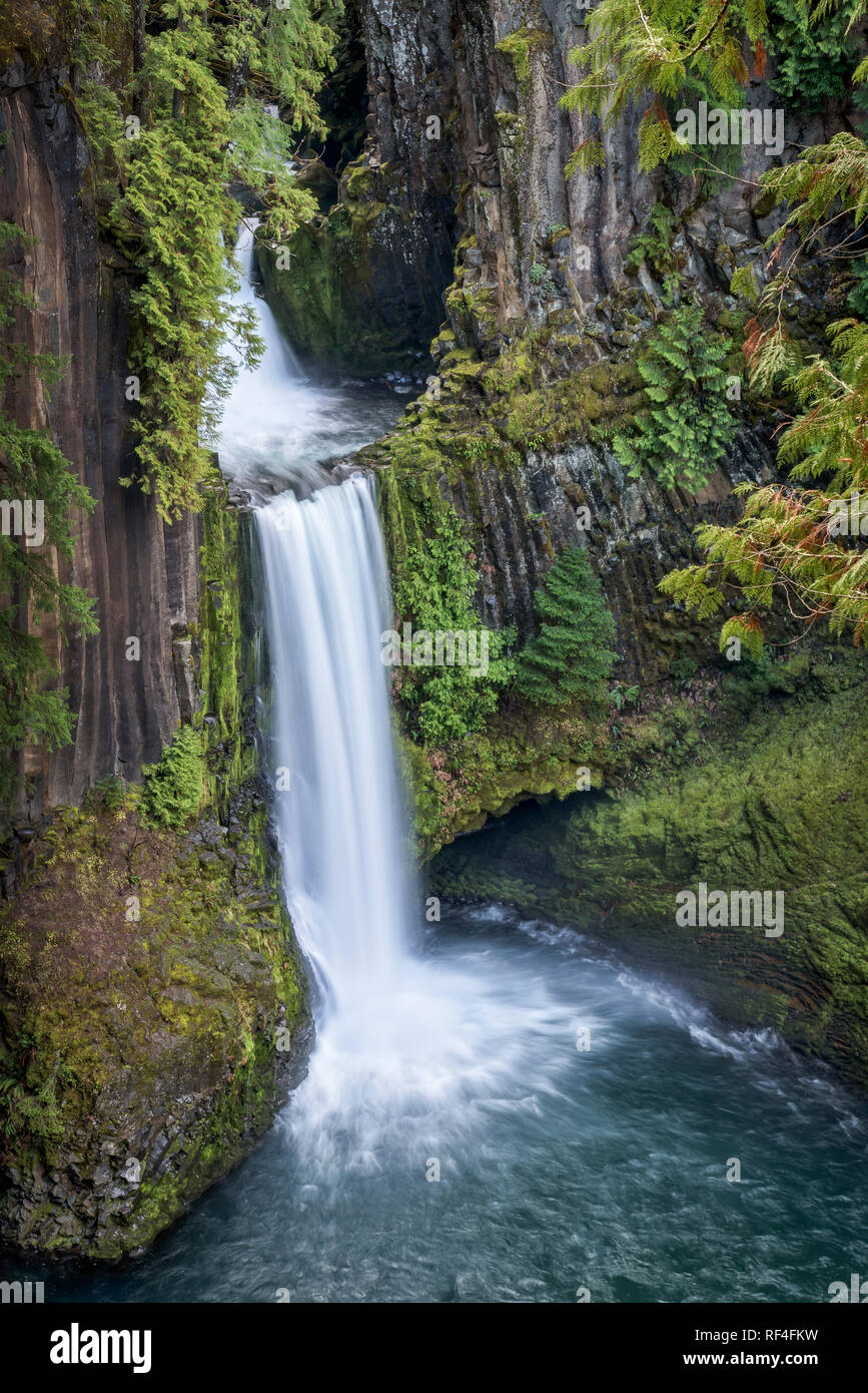 Toketee Falls, North Umpqua River, Umpqua National Forest, Oregon Stock