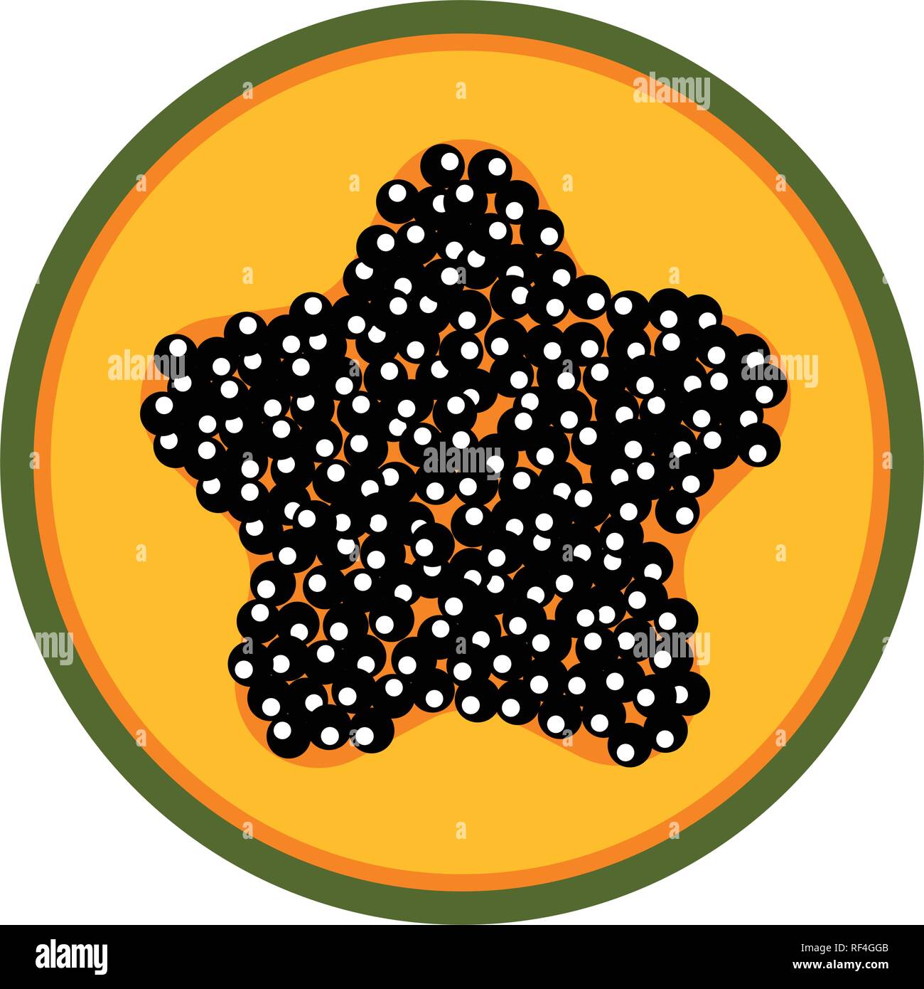 Papaya detail Stock Vector Images Alamy