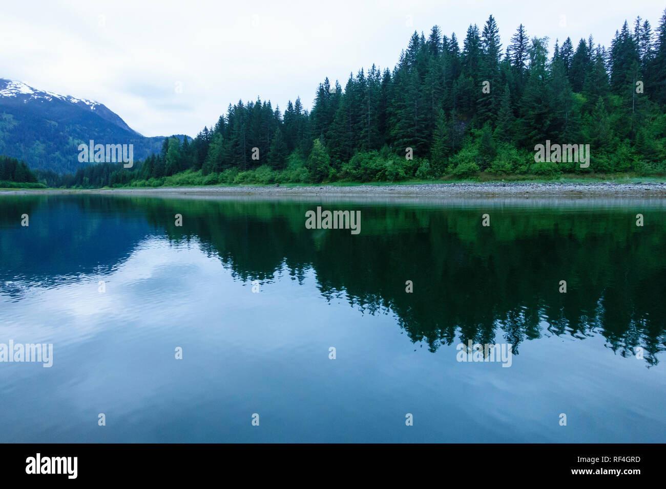 Beautiful nature scene in a quiet cove in Glacier Bay National Park. Forested island shorelines are reflected in the calm waters of a sheltered bay. Stock Photo