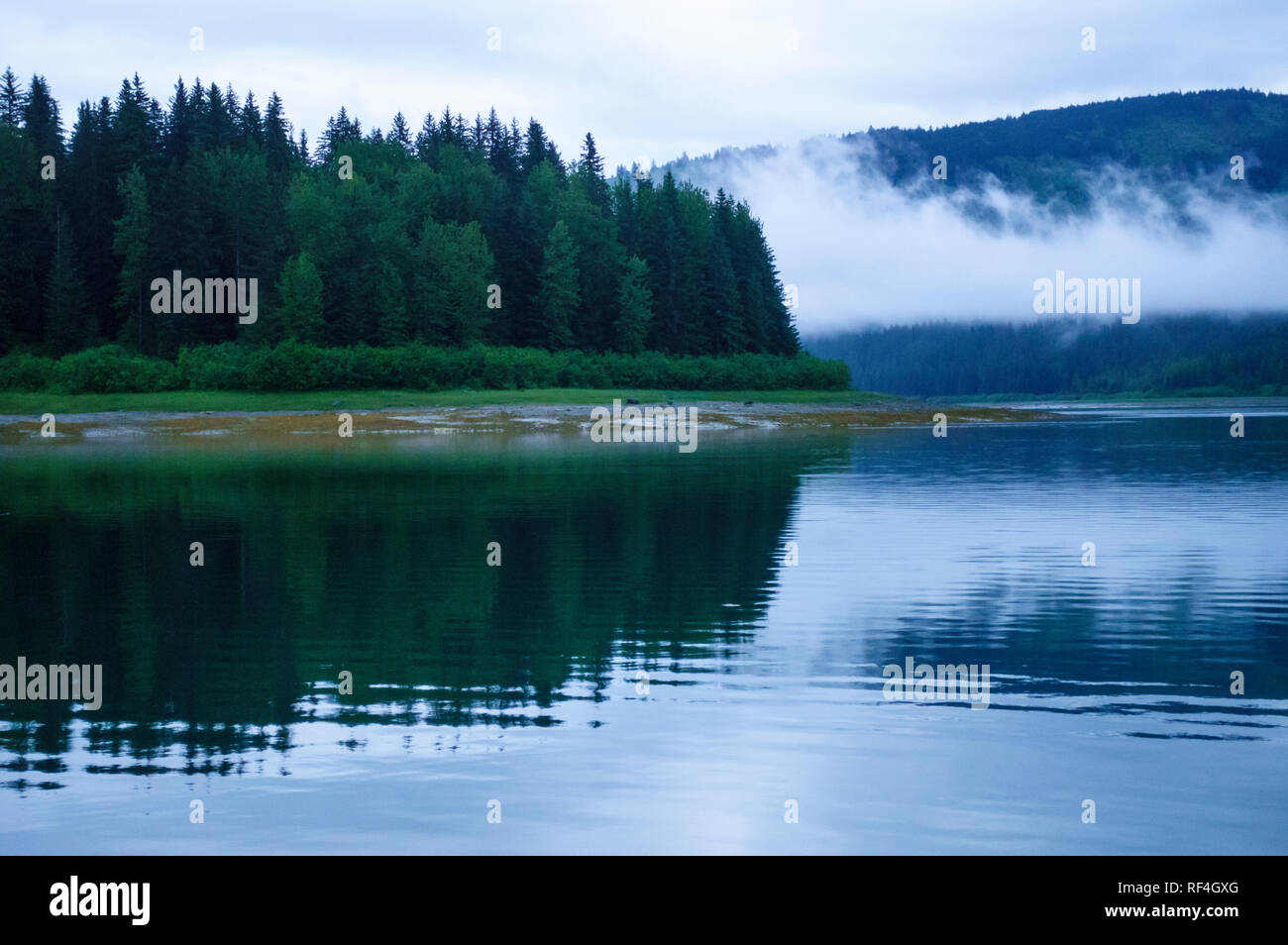 Beautiful nature scene in a quiet cove in Glacier Bay National Park. Forested island shorelines are reflected in the calm waters of a sheltered bay. Stock Photo