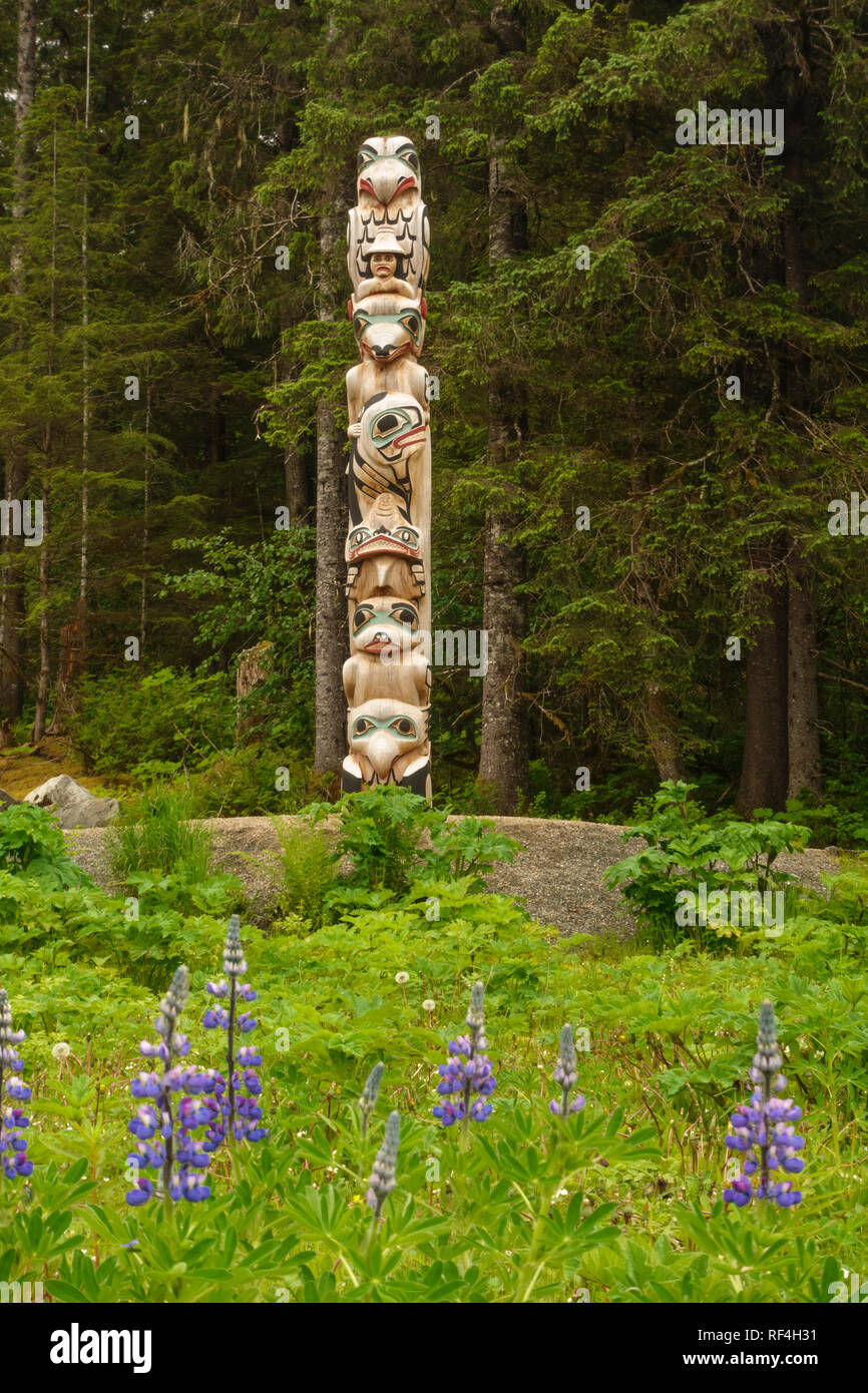 Native American Tlingit Indian totem pole made from a carved and painted cedar wood log at Bartlett Cove, Glacier Bay National Park, Alaska Stock Photo