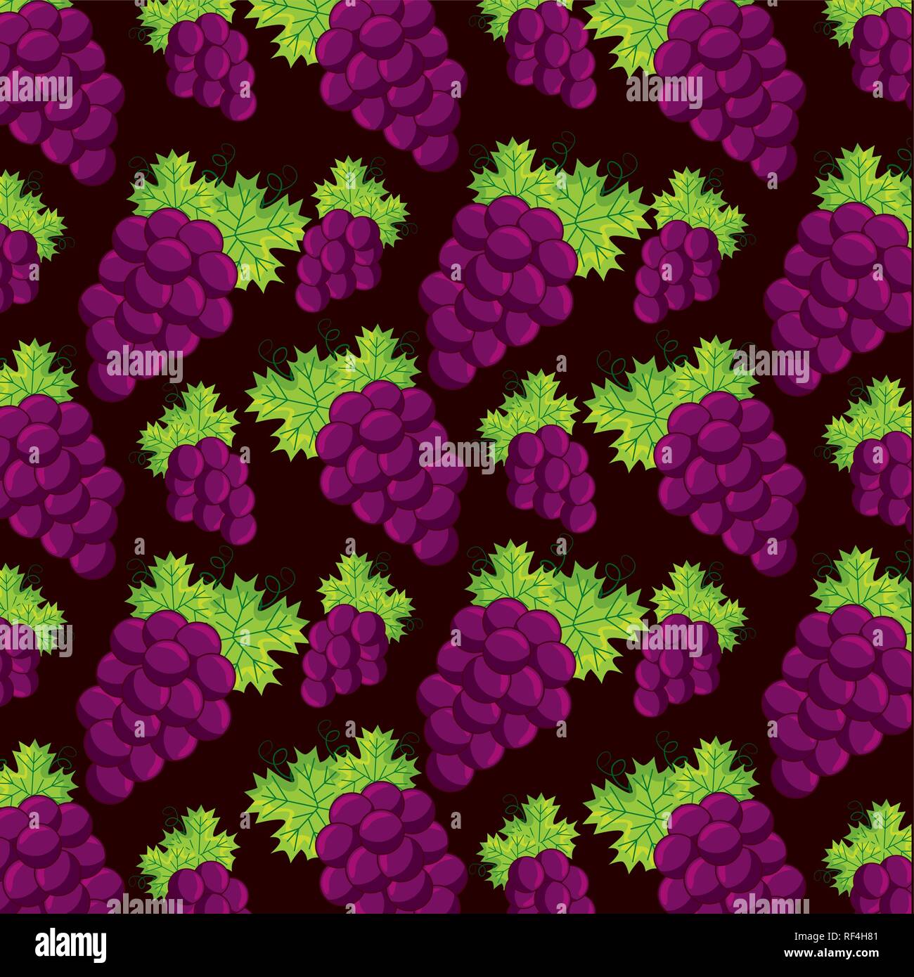 bunch fresh grapes Stock Vector Image & Art - Alamy