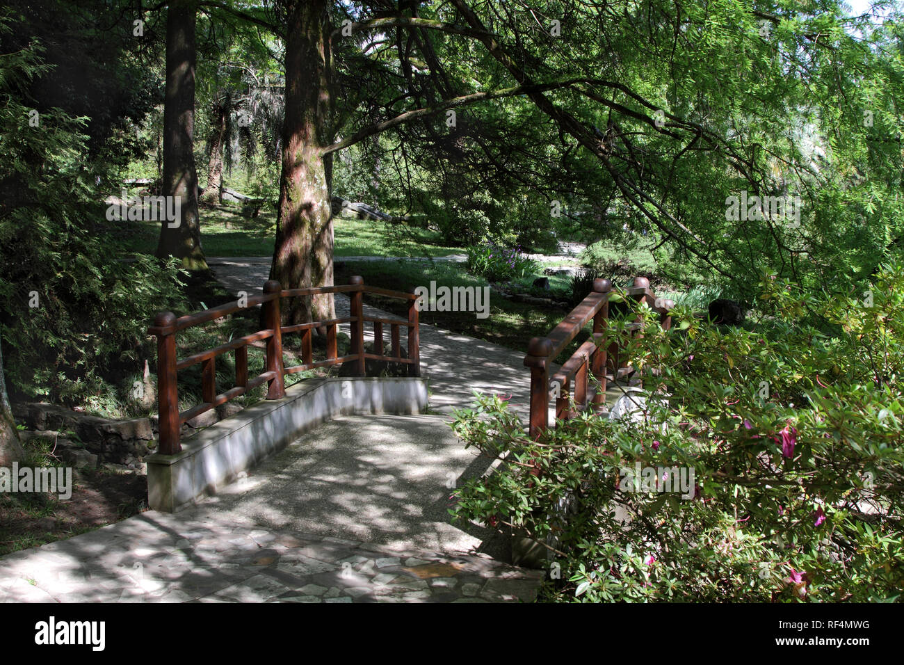 Beautiful stone staircase with wooden railing in the summer park. Stock Photo