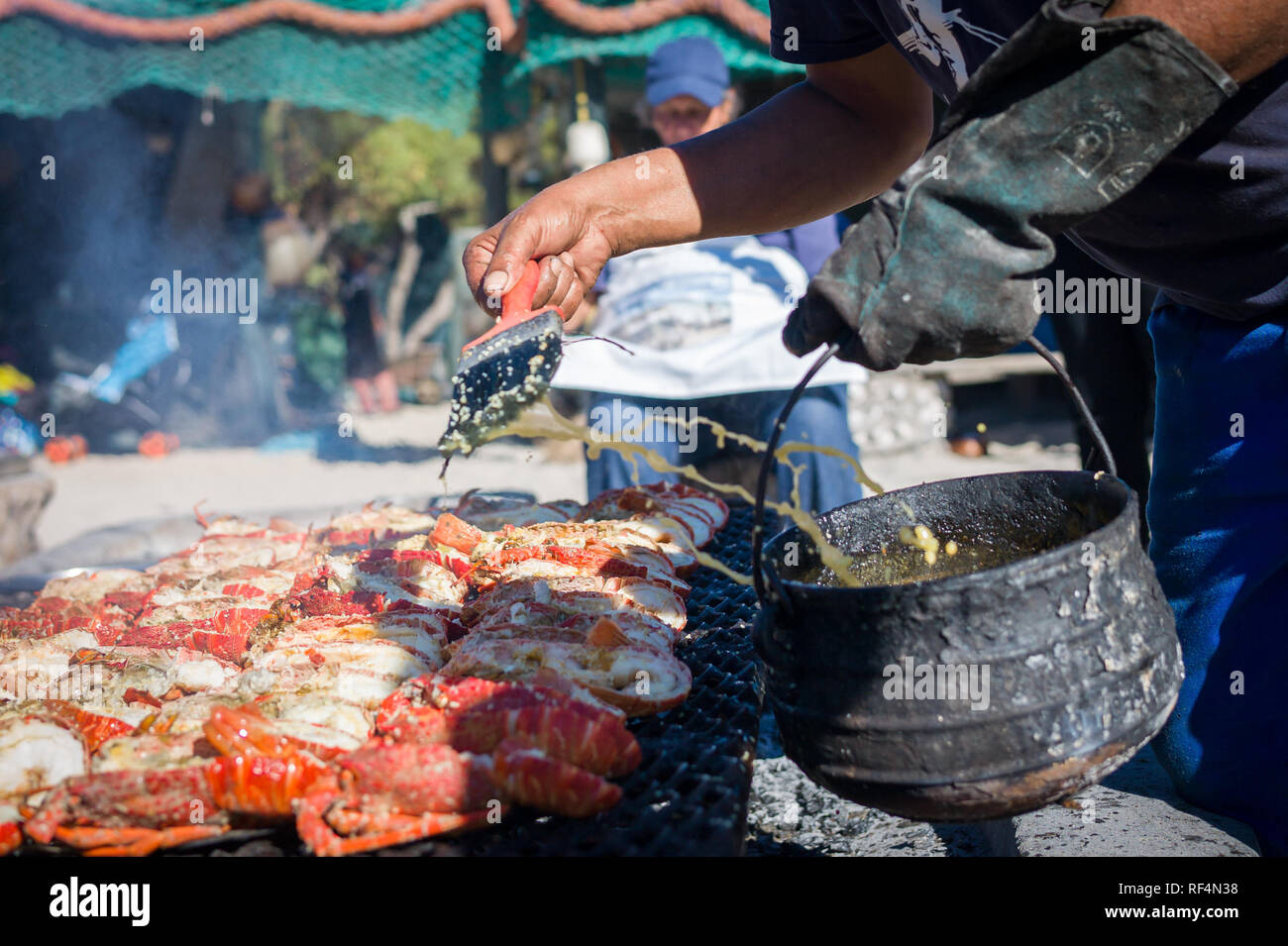 Langebaan and the West Coast of South Africa are famous for crayfish, which are actually a species of spiny lobster or rock lobster, Jasus lanlandii. Stock Photo