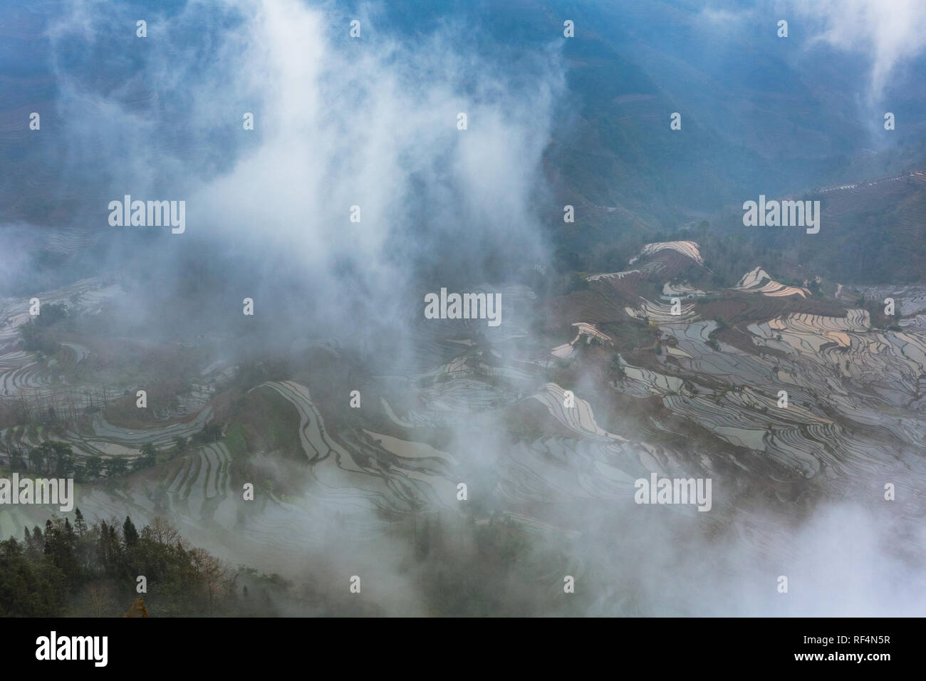 terraced fields with fog in china. Stock Photo