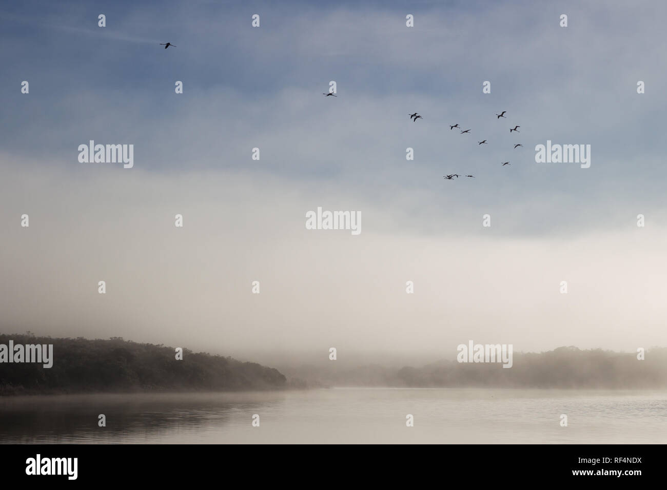 De Hoop vlei, De Hoop Nature Reserve, Overberg, Western Cape, South