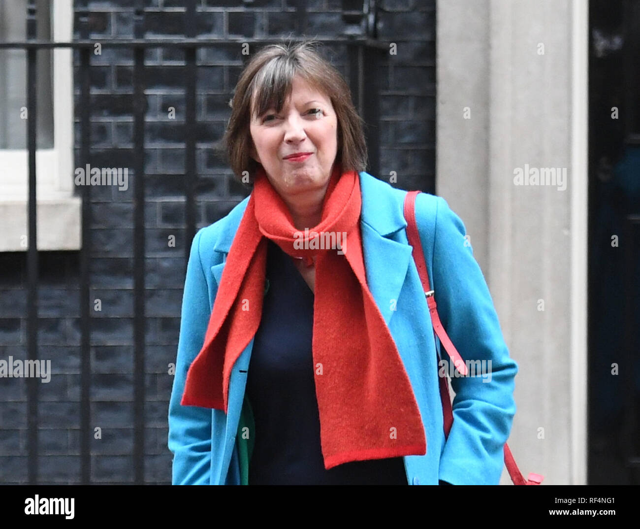 The TUC's Frances O'Grady leaves 10 Downing Streetl, London, following talks with the Government over Brexit. Stock Photo
