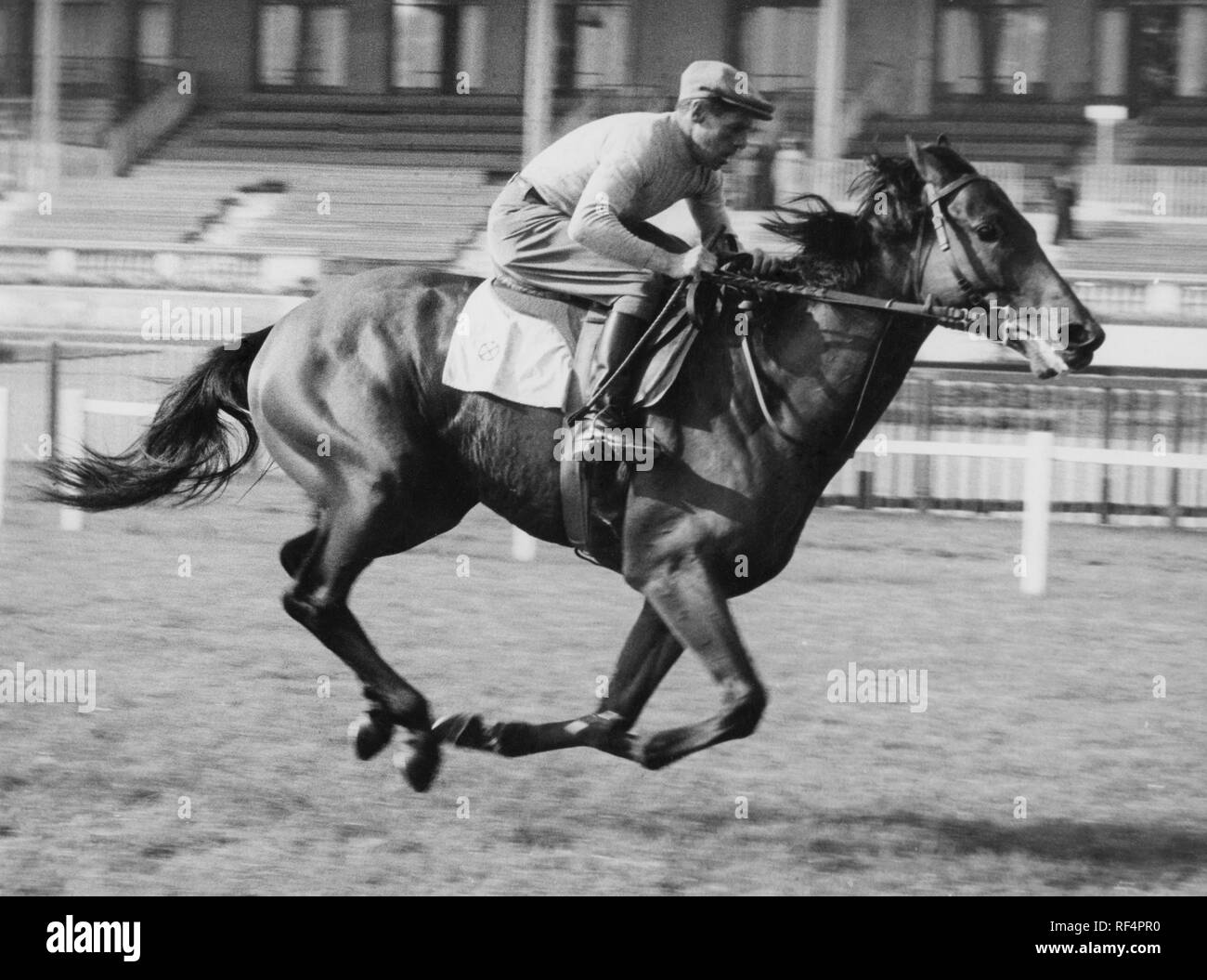 enrico camici and ribot, 1950-60 Stock Photo