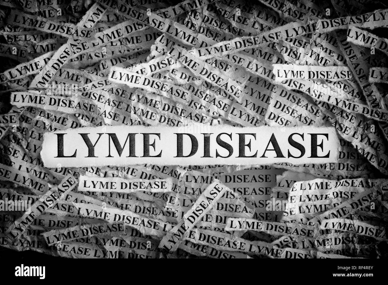 Lyme Disease. Torn pieces of paper with the words Lyme Disease. Concept image. Black and White. Close up. Stock Photo