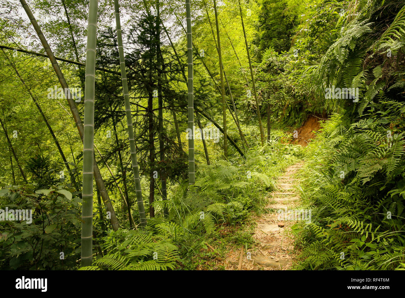 Small hiking path in hi res stock photography and images Alamy