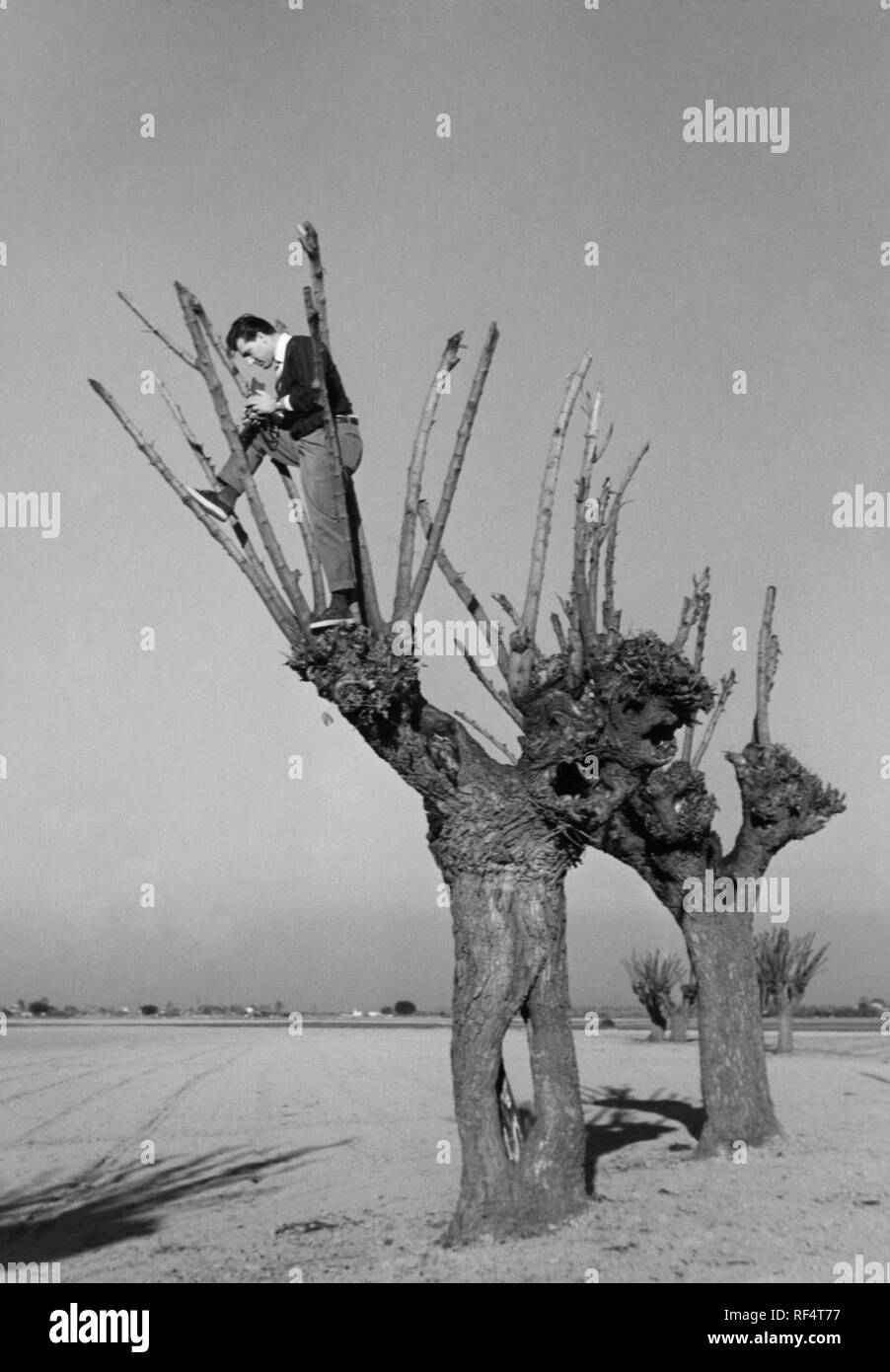 photographer Ezio Quiresi, 1958 Stock Photo Alamy