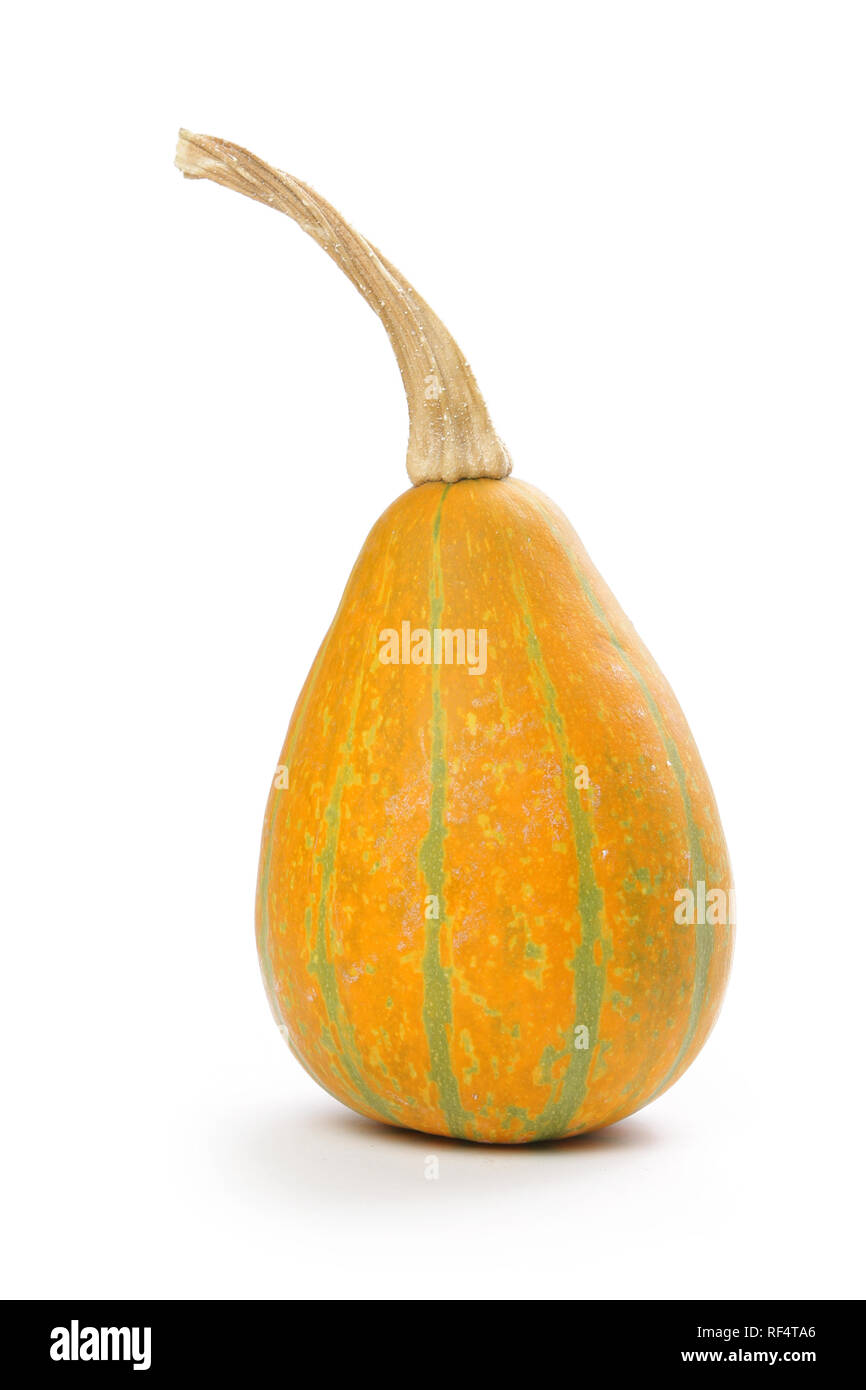 Decorative pumpkin, isolated on white Stock Photo - Alamy