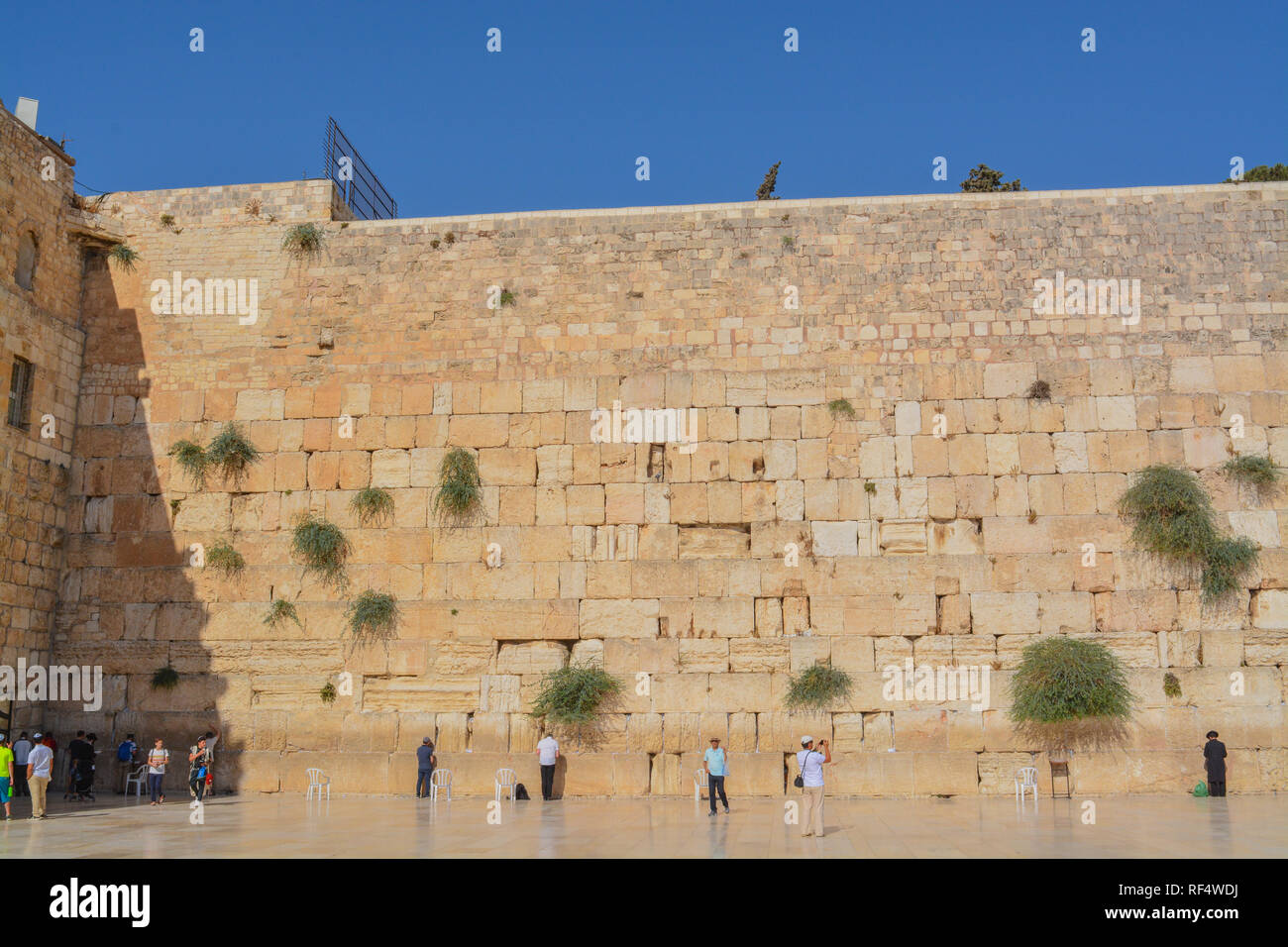 Western / Wailing Wall in Jerusalem Israel Stock Photo Alamy