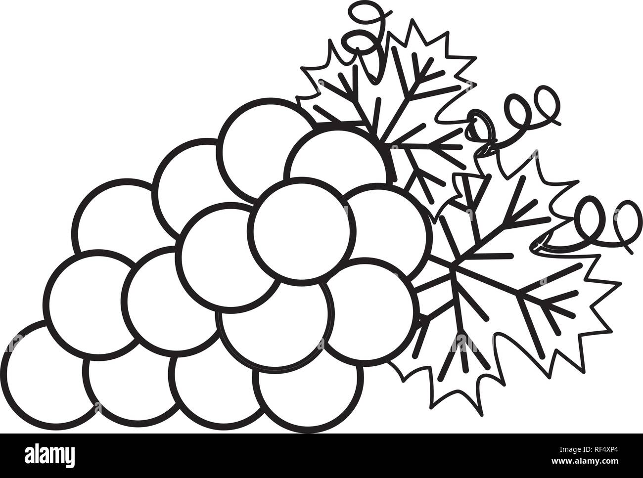 Big grapes Stock Vector Images - Alamy