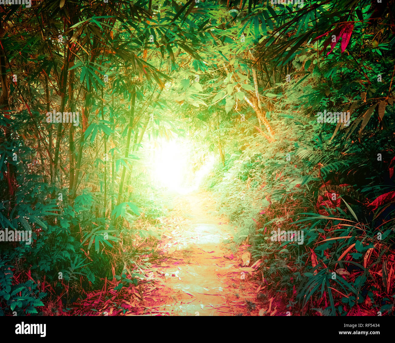 Surreal colors of fantasy landscape at tropical jungle forest with tunnel and path way through dense vegetation Stock Photo