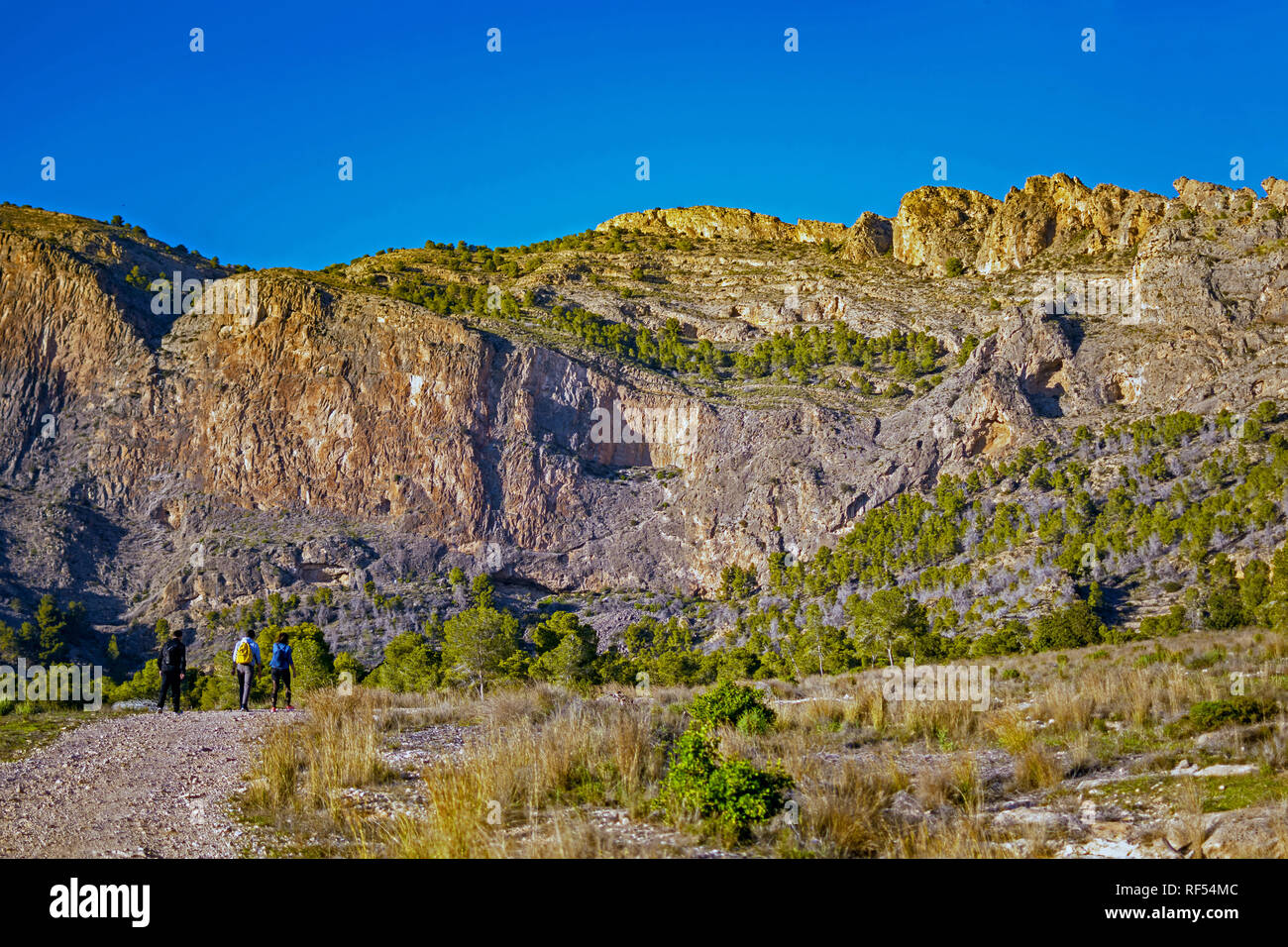 Groups of people hiking through landscapes of mountains Stock Photo - Alamy