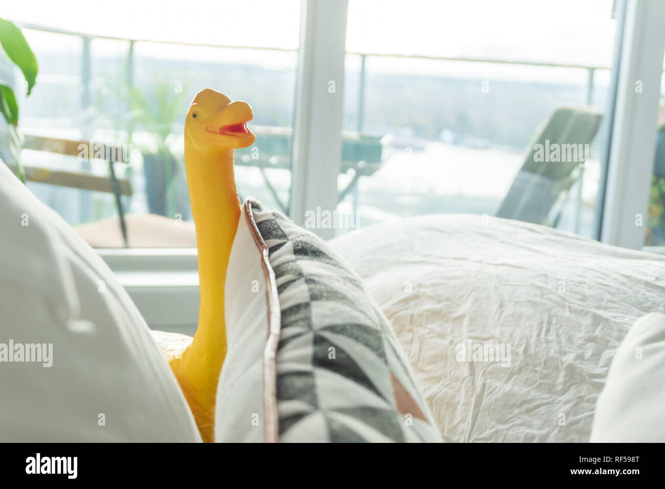 Yellow toy dinosaur in parent bed, depicting parenting lifestyle and a real home. Stock Photo