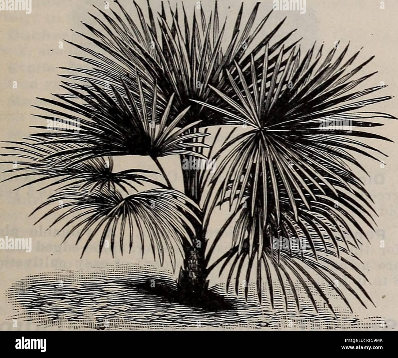 . Fruitland Nurseries. Nursery stock, Augusta, Catalogs; Trees