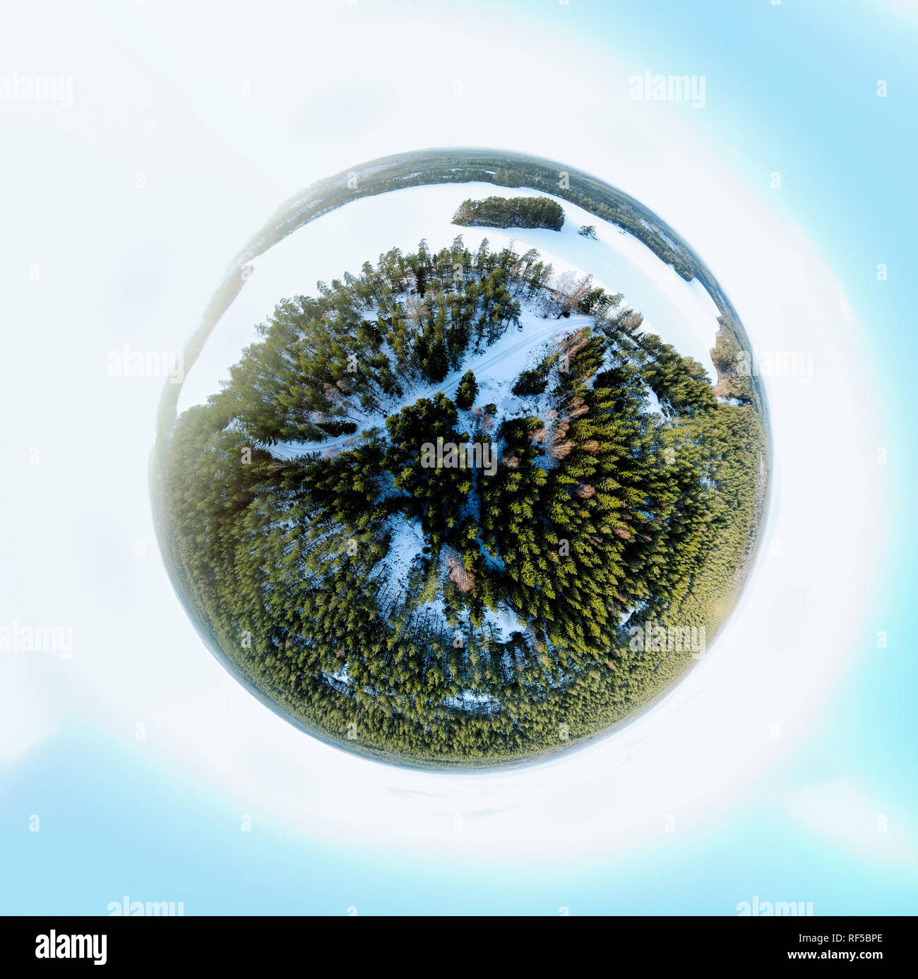 Evergreen forest in sphere hi-res stock photography and images - Alamy