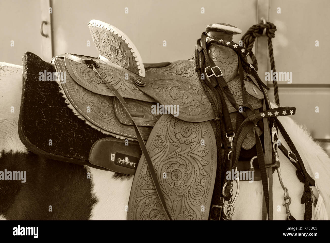 A Comprehensive Guide to the Parts of a Western Saddle