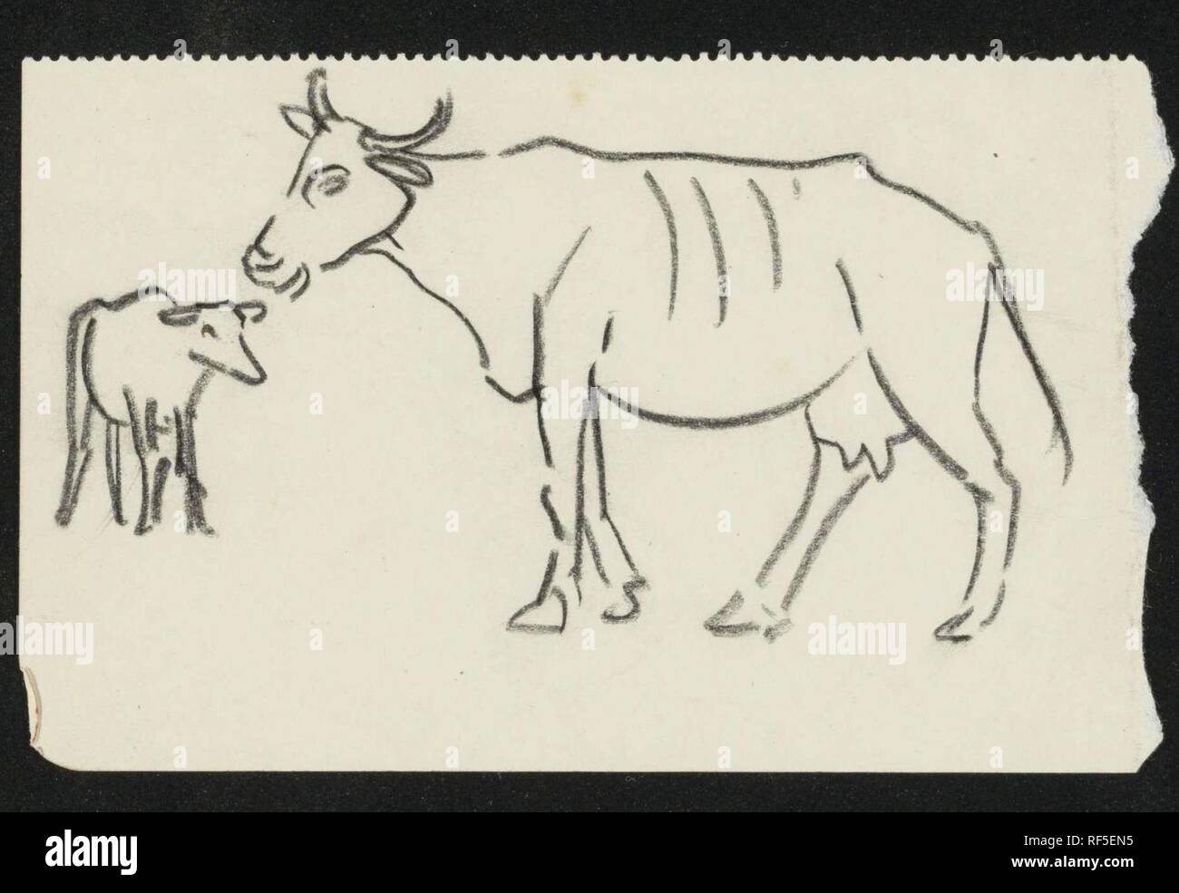 Two cows. Draughtsman: Gerrit Willem Dijsselhof. Dating: 1876 - 1924. Measurements: h 71 mm × w 114 mm. Museum: Rijksmuseum, Amsterdam. Stock Photo