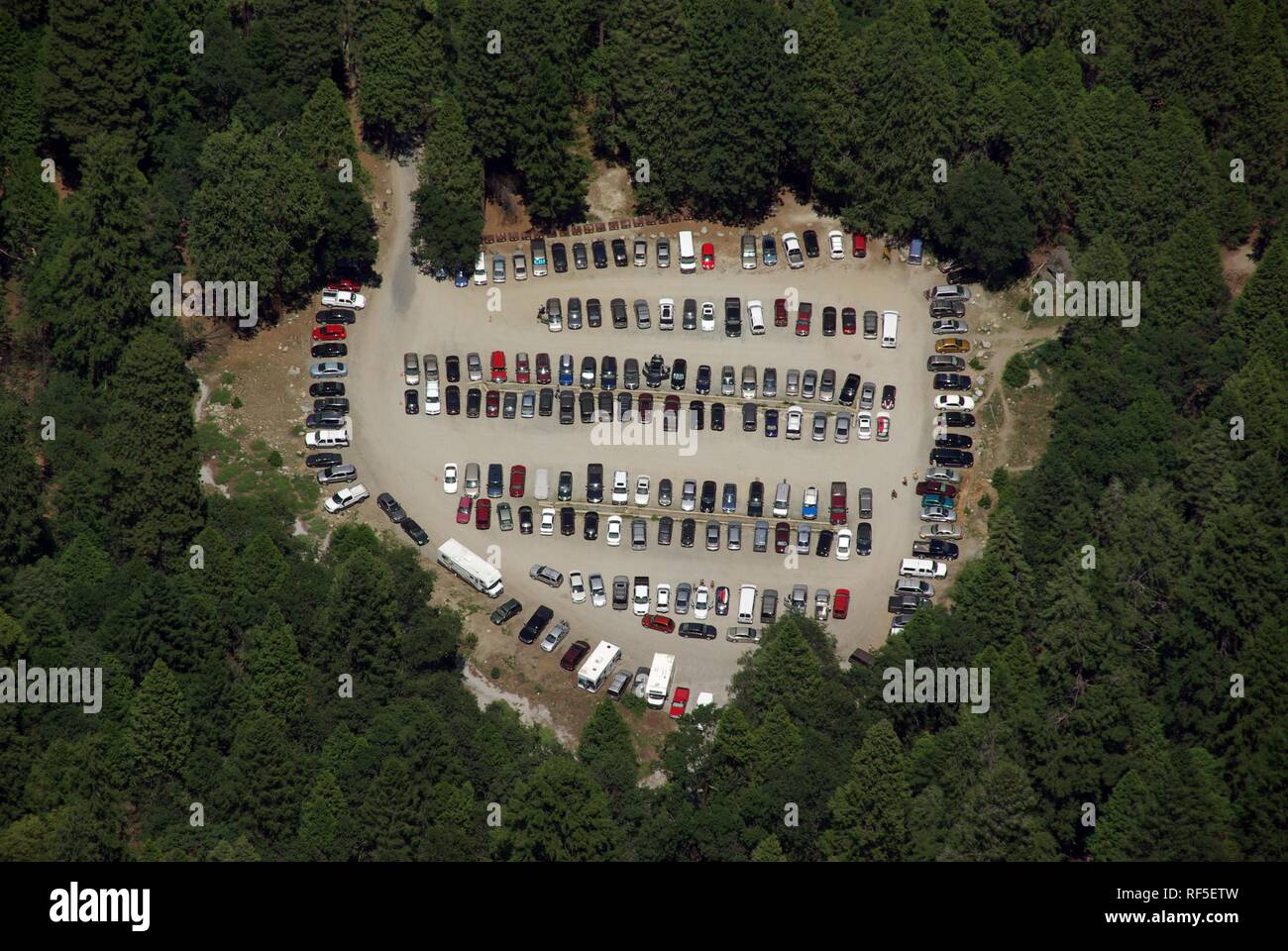 Parking lot in the forest Stock Photo Alamy