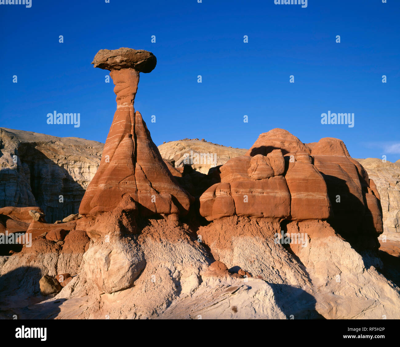 USA, Utah, Grand Staircase Escalante National Monument, The Toadstools are soft sandstone pedestals which have eroded more quickly than their hard cap Stock Photo
