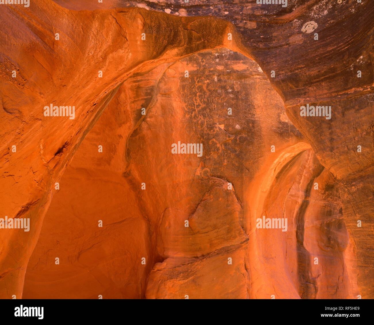 USA, Utah, Grand Staircase Escalante National Monument, Erosion of