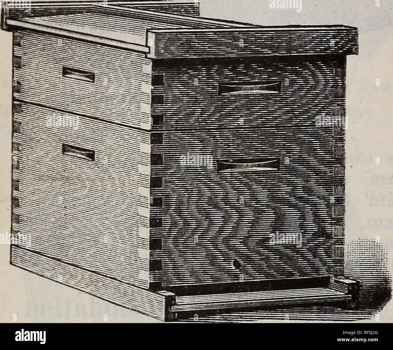 Savage Reid S Annual Catalogue Of Seeds Etc Nursery Stock