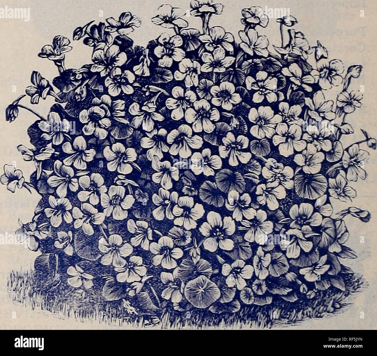 . The Geo. A. Weaver Co's seed catalogue 1902. Nursery stock Rhode