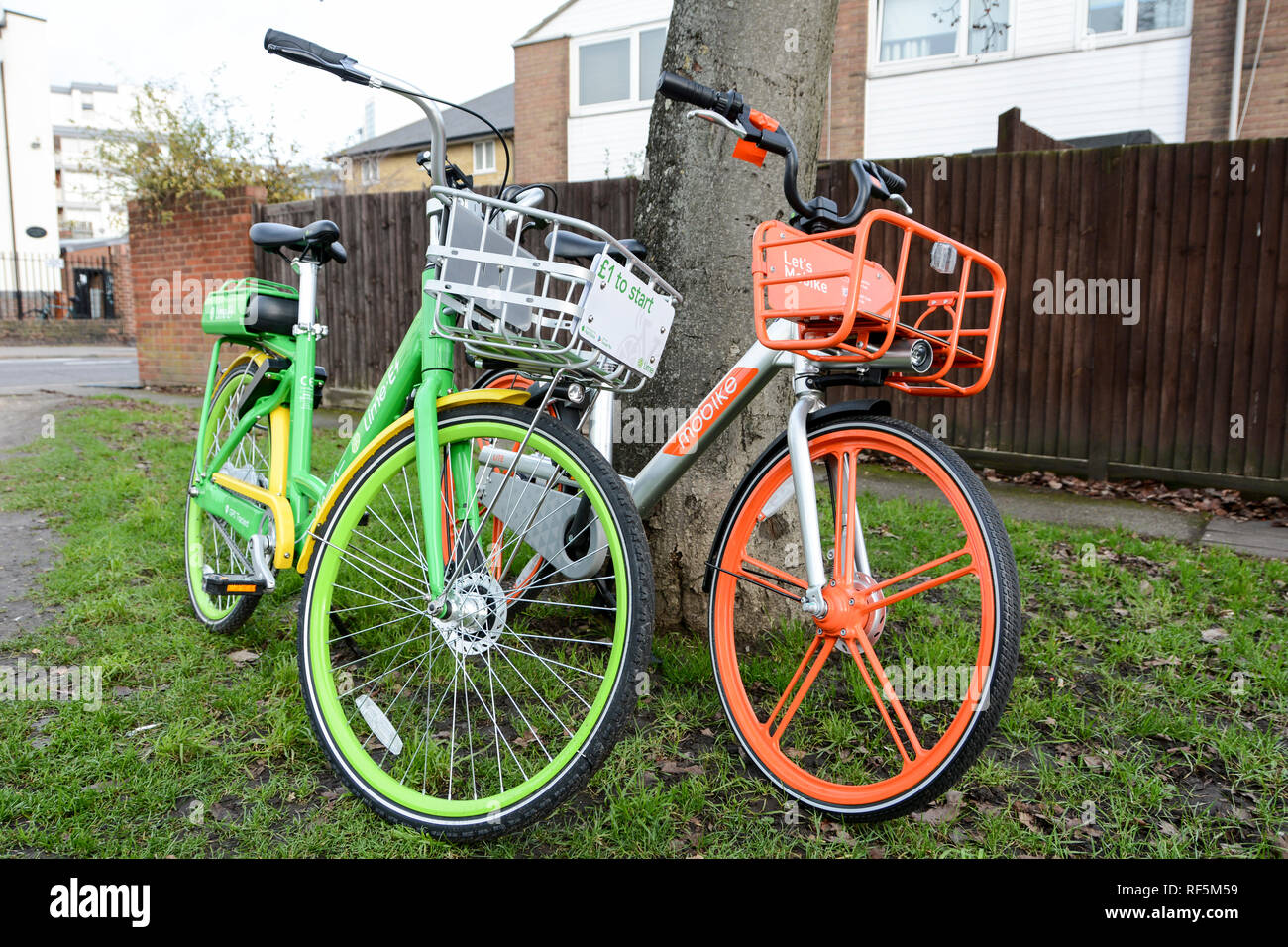 Lime-E and Mobike bike hire bicycles abandoned under a tree in Brentford, London, UK Stock Photo