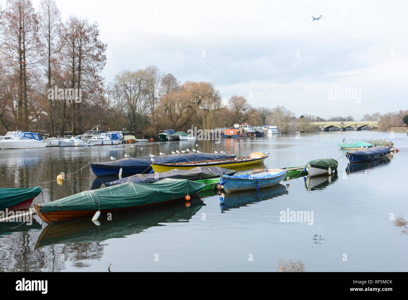 A Placid River Thames at Richmond, London, UK Stock Photo