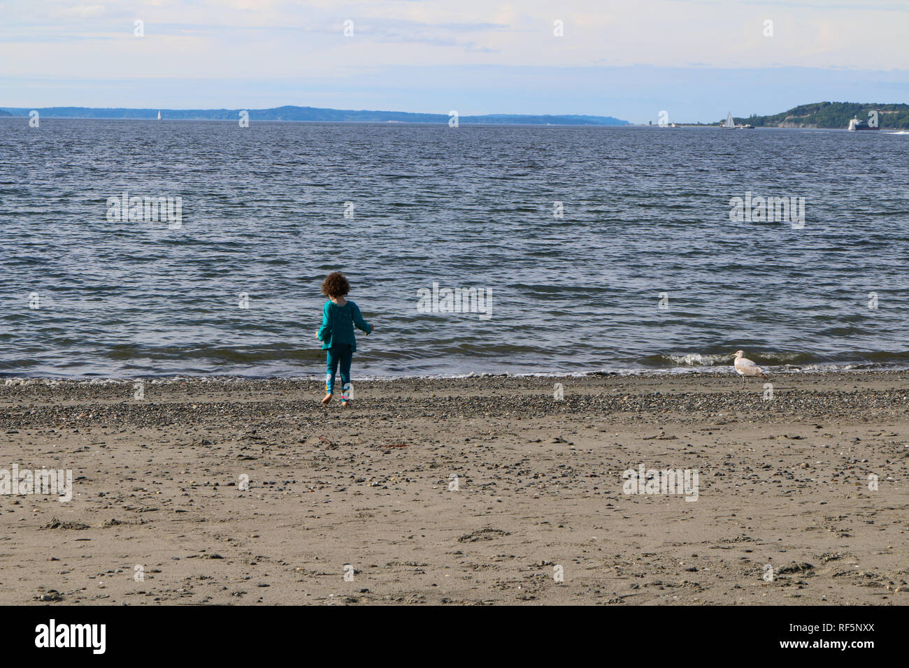 Child running at the shore of Alki Beach in West Seattle, Washington, chasing seagulls Stock Photo