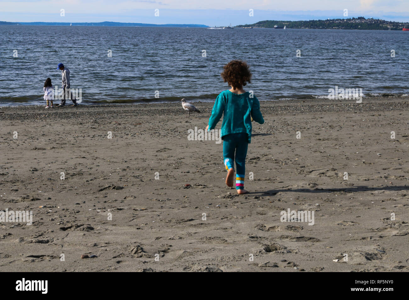 Child running at the shore of Alki Beach in West Seattle, Washington, chasing seagulls Stock Photo