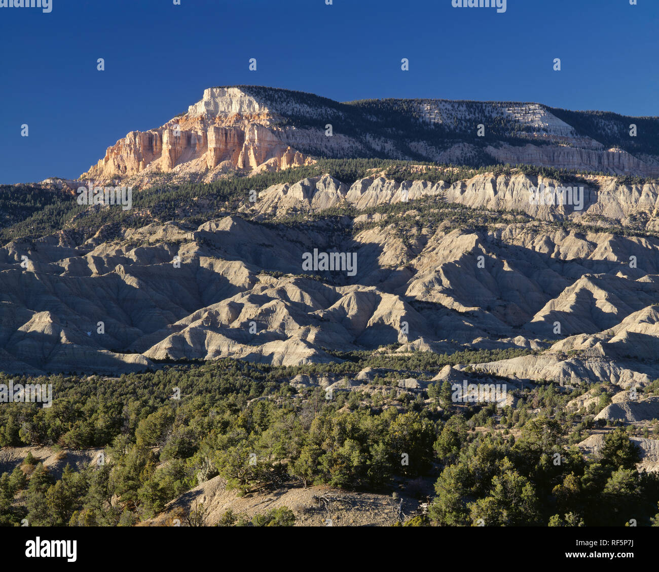 USA, Utah, Grand Staircase Escalante National Monument; Powell Point