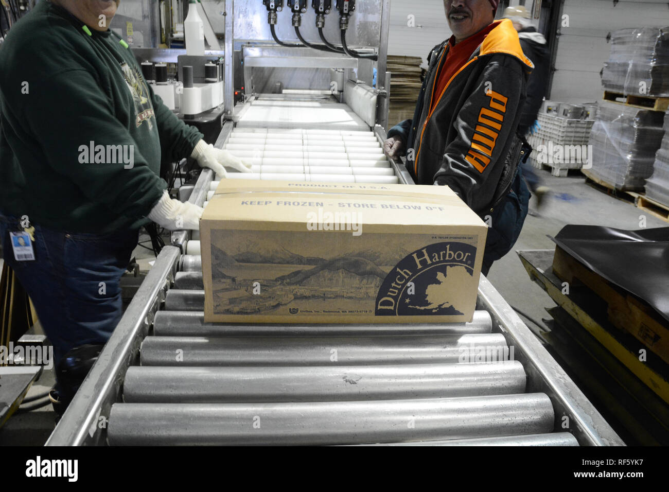 Fish plant workers packaging frozen pollock fillets at the UniSea ...