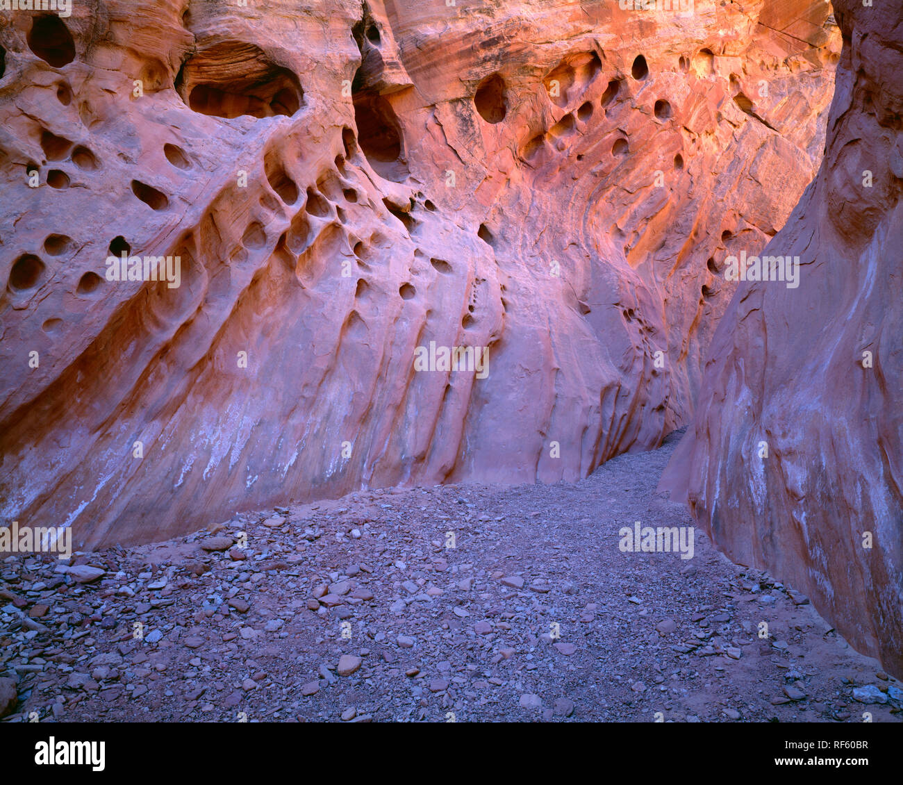 USA, Utah, San Rafael Reef, Narrows section of Little Wild Horse Canyon has been formed by water erosion of Wingate and Kayenta Sandstone. Stock Photo
