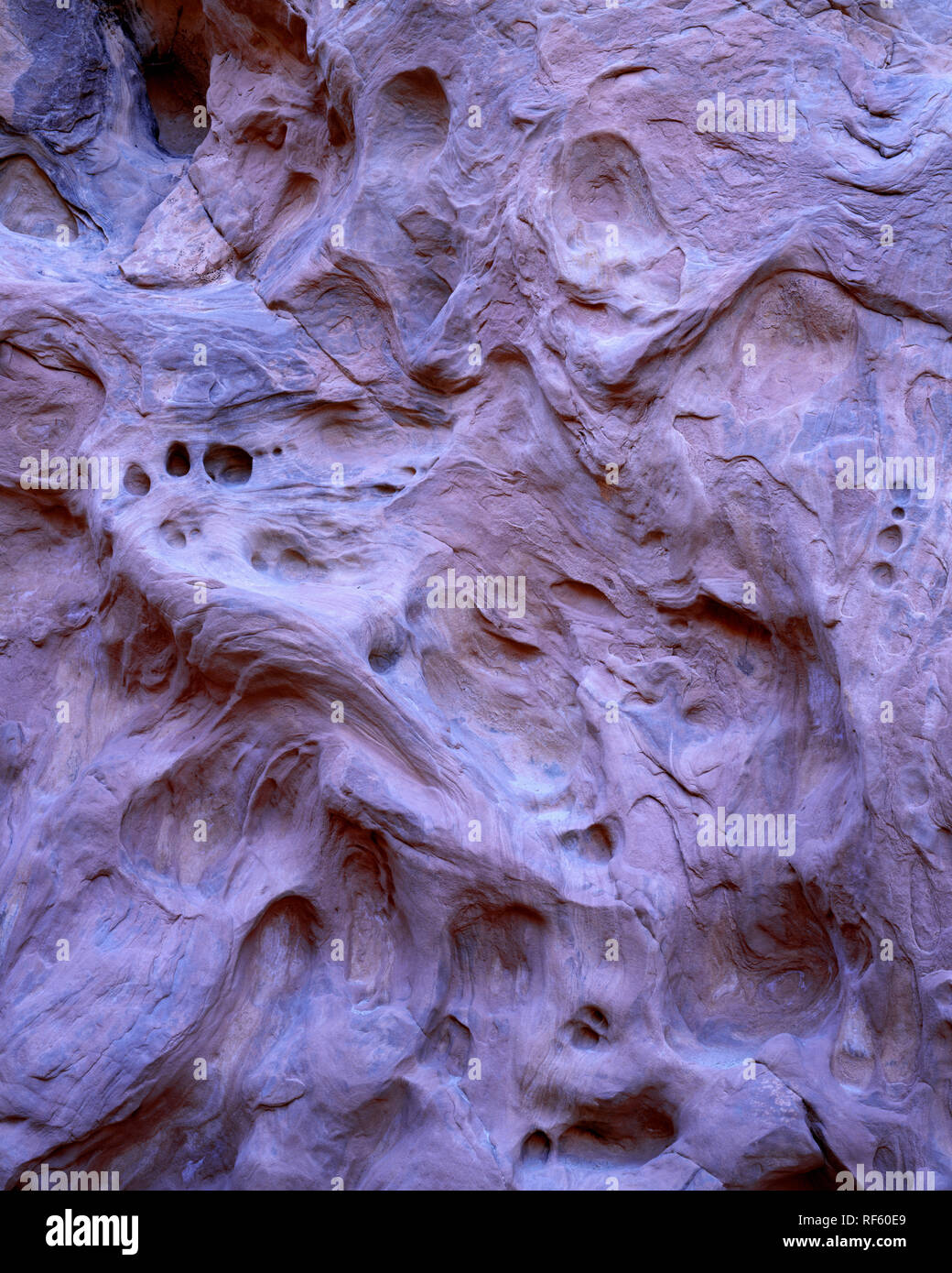 USA, Utah, San Rafael Reef, Water erosion of Wingate and Kayenta Sandstone has formed depressions in walls of Little Wild Horse Canyon. Stock Photo