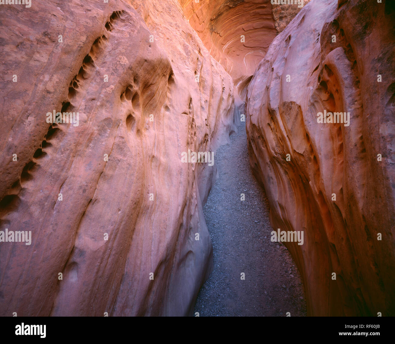 USA, Utah, San Rafael Reef, Narrows section of Little Wild Horse Canyon has been formed by water erosion of Wingate and Kayenta Sandstone. Stock Photo