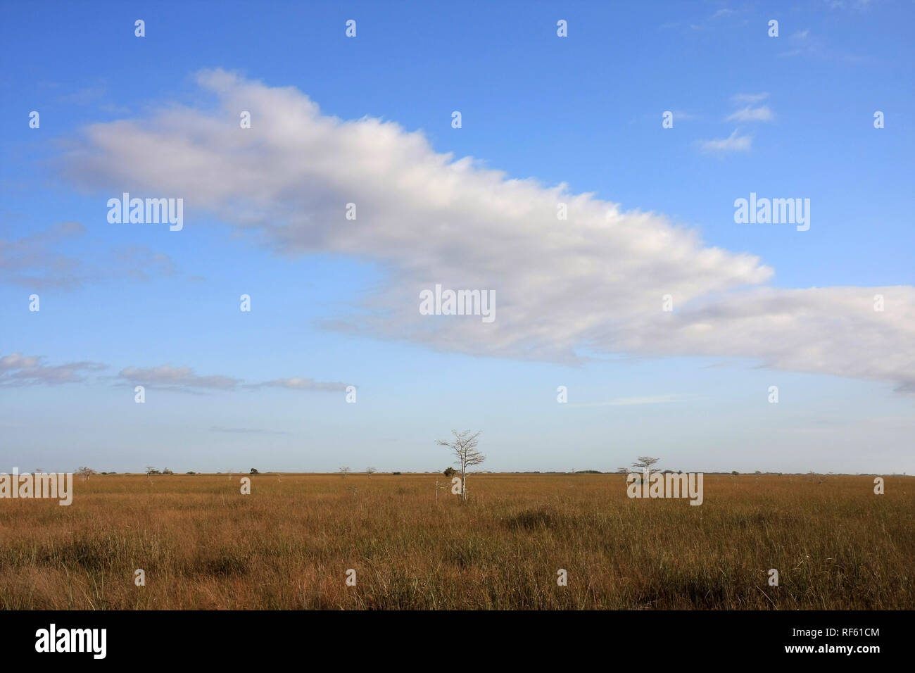 The Sawgrass Prairie of Everglades National Park, Florida. Stock Photo