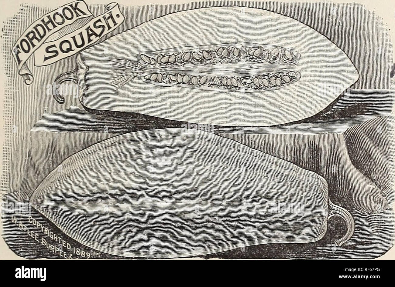 1902 Catalogue Platts Flower And Vegetable Seeds Nursery Stock Connecticut New Haven Catalogs Vegetables Seeds Catalogs Flowers Seeds Catalogs 1902 Catalogue Platts Flower And Vegetable Seeds Nursery Stock Connecticut New Haven Catalogs Vegetables Seeds Catalogs Flowers Seeds Catalogs