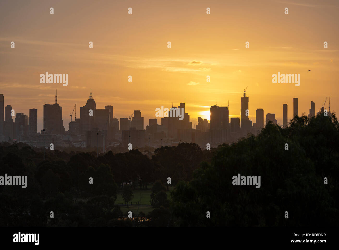 Melbourne city skyline with a glowing orange sky and park trees in the foreground Stock Photo